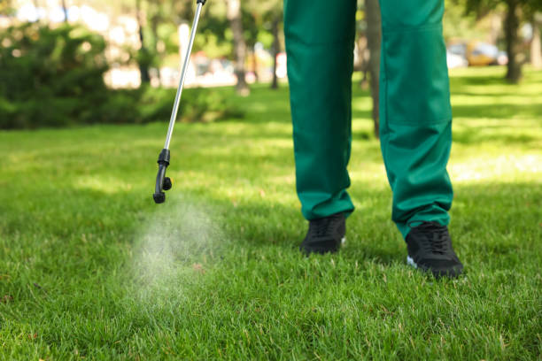 Pest Control Cost in Long Creek, IL
