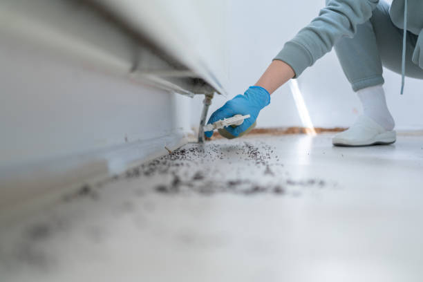 Best Wildlife Control Services  in Long Creek, IL