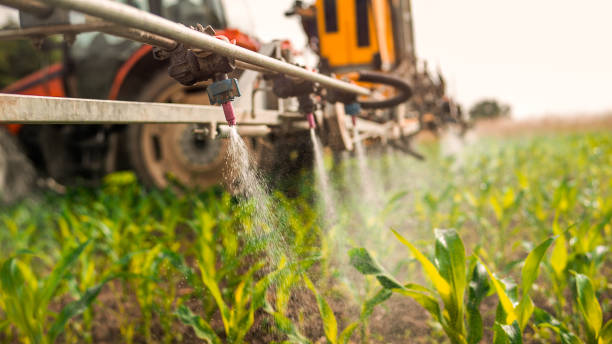 Best Pest Prevention Services  in Long Creek, IL